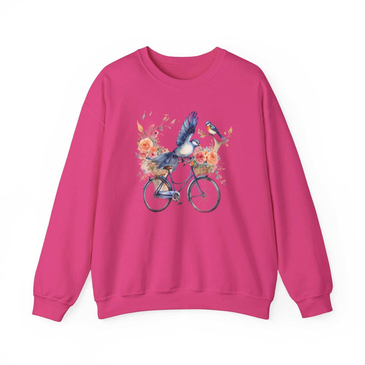 Bicycle & Birds Sweatshirt